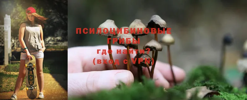 Галлюциногенные грибы Psilocybe  где найти наркотики  Узловая 